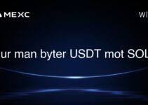 Hur man byter USDT mot SOL?