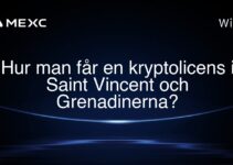 Hur man får en kryptolicens i Saint Vincent och Grenadinerna?