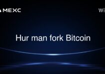 Hur man fork Bitcoin