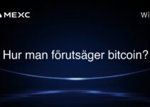 Hur man förutsäger bitcoin?