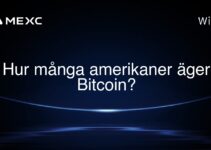 Hur många amerikaner äger Bitcoin?
