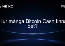 Hur många Bitcoin Cash finns det?