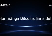 Hur många Bitcoins finns det?