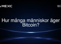 Hur många människor äger Bitcoin?