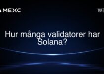 Hur många validatorer har Solana?