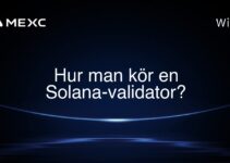 Hur man kör en Solana-validator?
