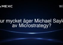 Hur mycket äger Michael Saylor av Microstrategy?