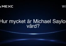 Hur mycket är Michael Saylor värd?
