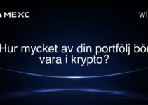 Hur mycket av din portfölj bör vara i krypto?