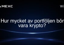 Hur mycket av portföljen bör vara krypto?