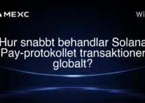 Hur snabbt behandlar Solana Pay-protokollet transaktioner globalt?