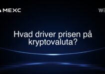 Hvad driver prisen på kryptovaluta?