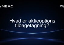 Hvad er aktieoptions tilbagetagning?