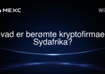 Hvad er berømte kryptofirmaer i Sydafrika?