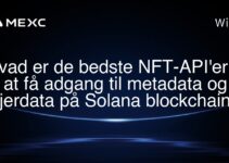 Hvad er de bedste NFT-API’er til at få adgang til metadata og ejerdata på Solana blockchain?