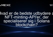 Hvad er de bedste udbydere af NFT-minting-API’er, der specialiserer sig i Solana blockchain?