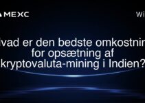 Hvad er den bedste omkostning for opsætning af kryptovaluta-mining i Indien?