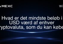 Hvad er det mindste beløb i USD værd af enhver kryptovaluta, som du kan købe?