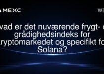 Hvad er det nuværende frygt- og grådighedsindeks for kryptomarkedet og specifikt for Solana?