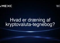 Hvad er dræning af kryptovaluta-tegnebog?