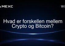 Hvad er forskellen mellem Crypto og Bitcoin?