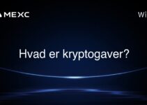 Hvad er kryptogaver?