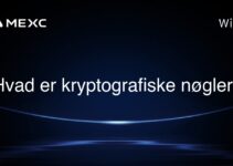 Hvad er kryptografiske nøgler?