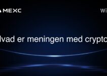 Hvad er meningen med crypto?