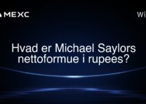 Hvad er Michael Saylors nettoformue i rupees?