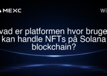Hvad er platformen hvor brugere kan handle NFTs på Solana blockchain?