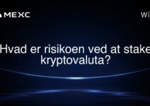 Hvad er risikoen ved at stake kryptovaluta?