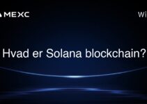 Hvad er Solana blockchain?