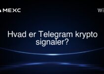 Hvad er Telegram krypto signaler?