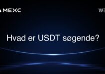 Hvad er USDT søgende?