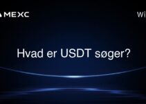 Hvad er USDT søger?