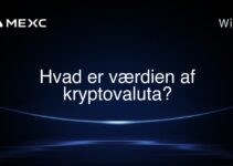 Hvad er værdien af kryptovaluta?
