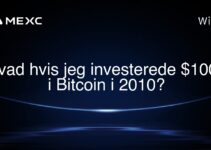Hvad hvis jeg investerede $1000 i Bitcoin i 2010?