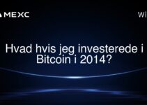Hvad hvis jeg investerede i Bitcoin i 2014?