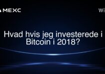 Hvad hvis jeg investerede i Bitcoin i 2018?