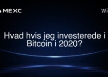 Hvad hvis jeg investerede i Bitcoin i 2020?