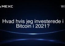 Hvad hvis jeg investerede i Bitcoin i 2021?