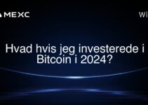 Hvad hvis jeg investerede i Bitcoin i 2024?