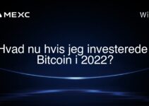 Hvad nu hvis jeg investerede i Bitcoin i 2022?