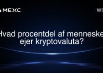 Hvad procentdel af mennesker ejer kryptovaluta?