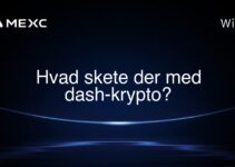 Hvad skete der med dash-krypto?