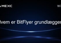 Hvem er BitFlyer grundlægger?