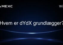 Hvem er dYdX grundlægger?