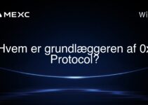 Hvem er grundlæggeren af 0x Protocol?