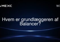 Hvem er grundlæggeren af Balancer?
