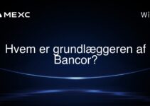 Hvem er grundlæggeren af Bancor?